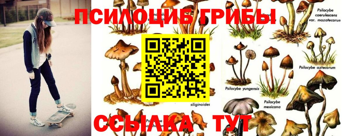 Галлюциногенные грибы мухоморы Сибай